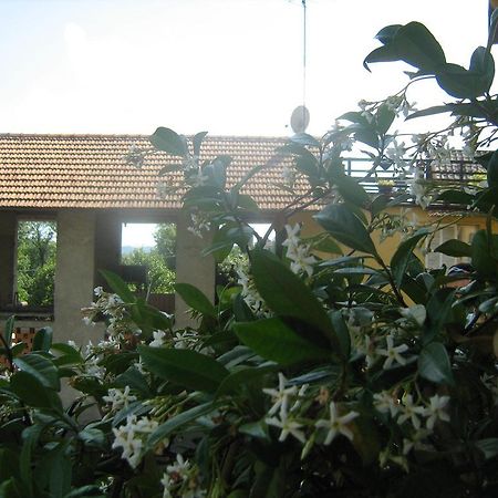Fattoria Del Pino Bed & Breakfast Orta San Giulio Exterior foto